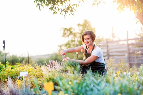 A woman with dark hair tied back, wearing a white t-shirt and a navy apron, is in a well-maintained garden in Staines, tending to a lush, vibrant herb or flower bed. She is smiling and using hands to carefully arrange or weed the plants, which include various herbs or flowering shrubs with green foliage and hints of purple blooms. The garden layout features a dense, neatly edged lawn area in the foreground, with a mixture of flowering and leafy plants bordered by small garden markers. Behind her, there is a wooden fence and mature trees providing natural shade, with dappled sunlight filtering through the leaves, creating a warm and inviting outdoor environment. The surroundings are clean and organized, demonstrating professional gardening practices, with healthy, well-kept plantings aligned for ease of maintenance. The overall scene highlights the lush greenery, natural tones, and variety of garden elements typical in residential outdoor spaces in the Staines area, with natural lighting emphasizing the vibrant and healthy condition of the garden, suited to the gardening services offered by Lawn Mowing Staines.