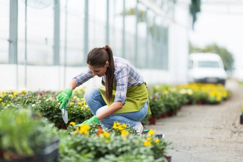 Professional lawn mowing service in Staines