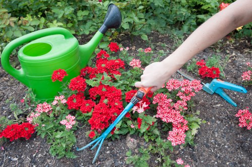 Technician mowing a well-maintained lawn