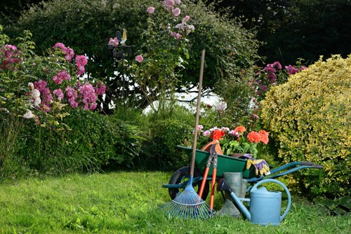 Tree lopping service in Staines