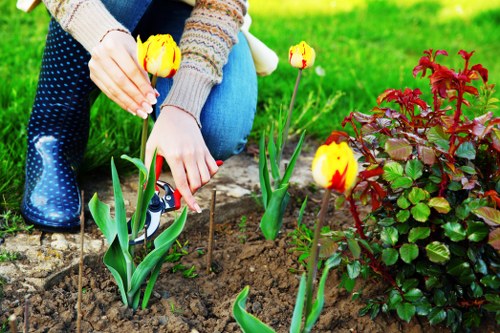 Choosing the right tree service