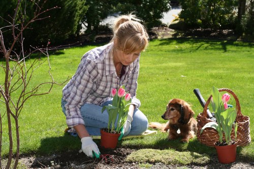 Healthy green lawn maintained by experts